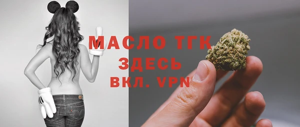 мдпв Верея