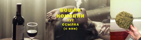 мдпв Верея