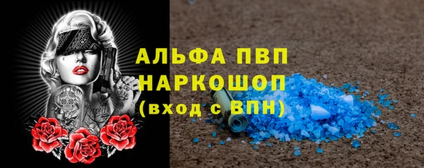 сатива Волоколамск