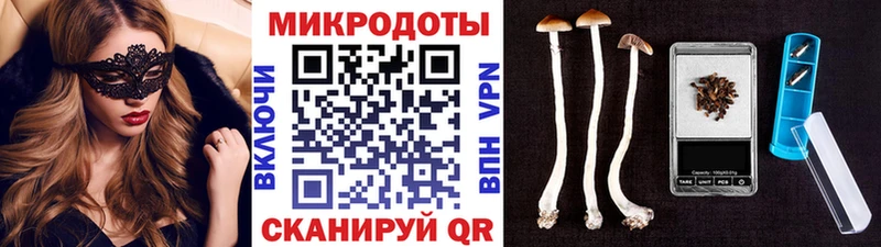 Галлюциногенные грибы Magic Shrooms Котлас