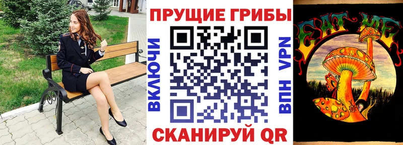 Купить где  Котлас  Псилоцибиновые грибы мицелий 